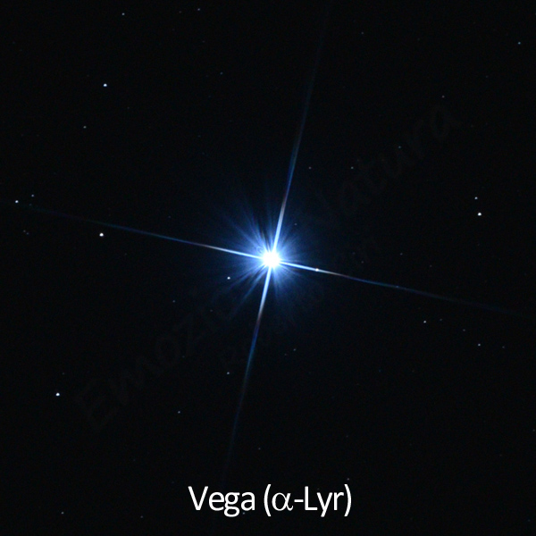 Vega