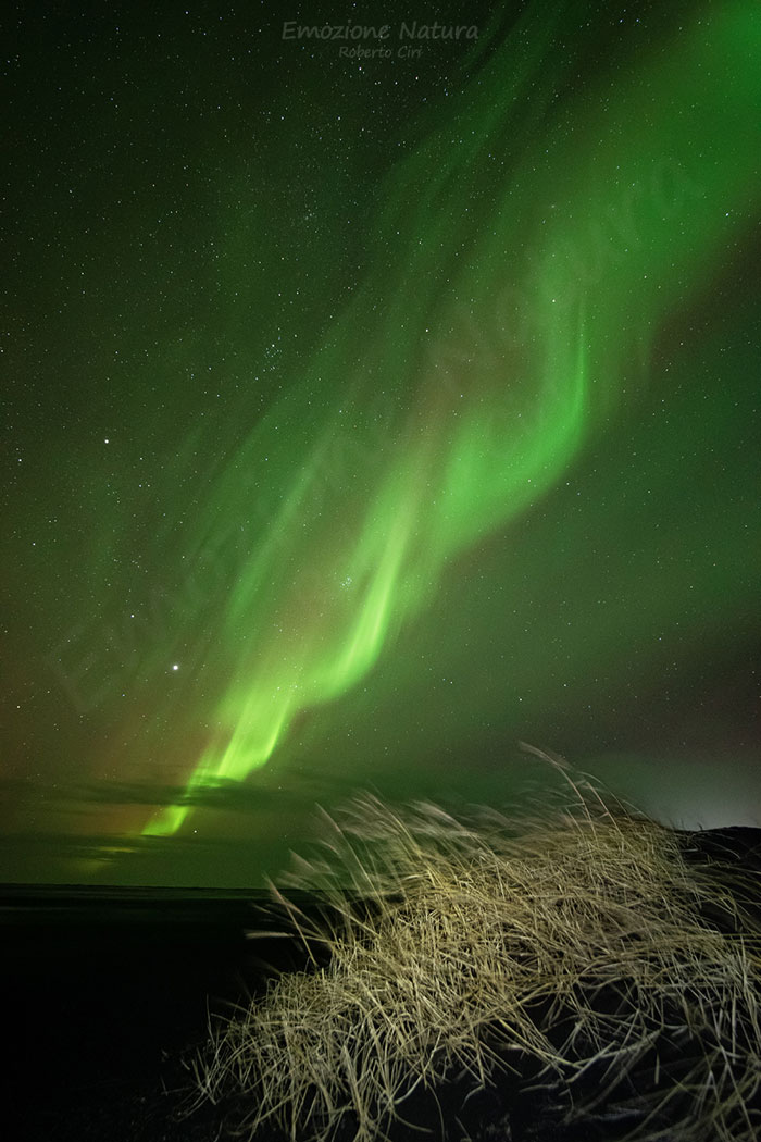 Aurora boreale Vestrahorn