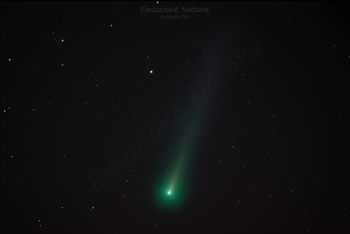 Cometa Leonard