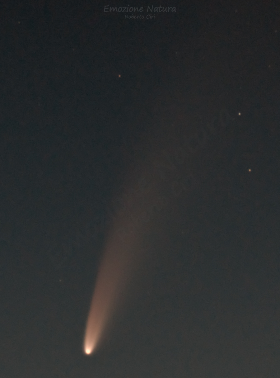 Cometa Neowise