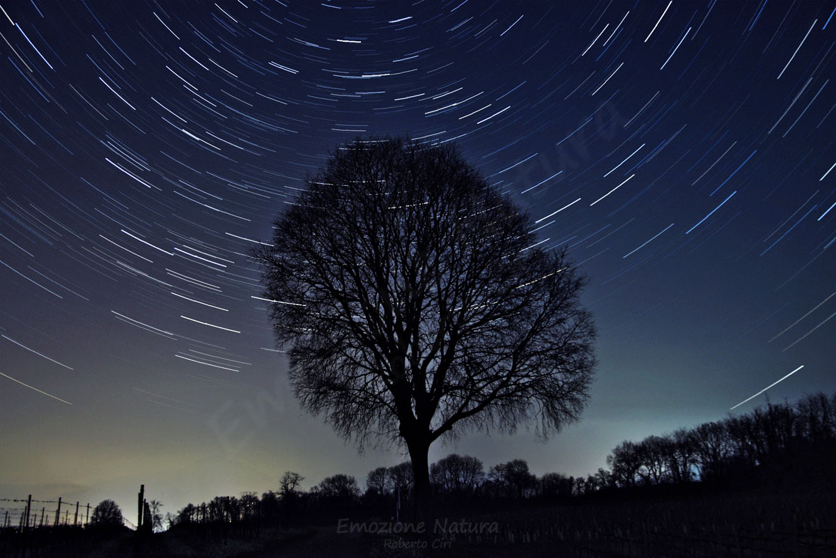 Star Trails ST-AlberoCalino