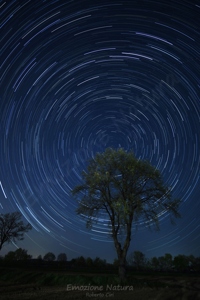 Star Trails ST-AlberoCazzago