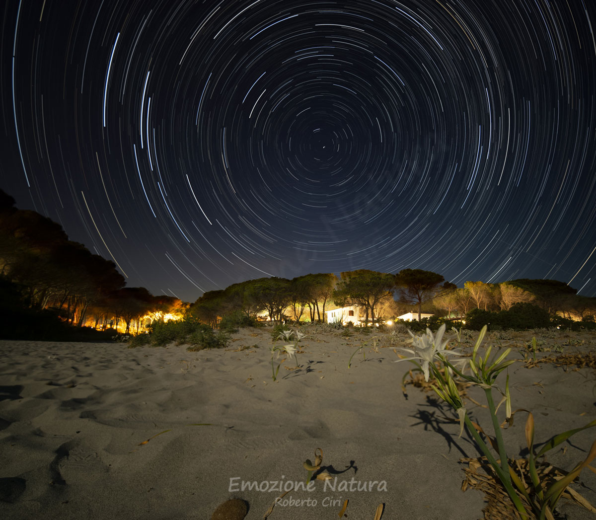 Star Trails Sardegna