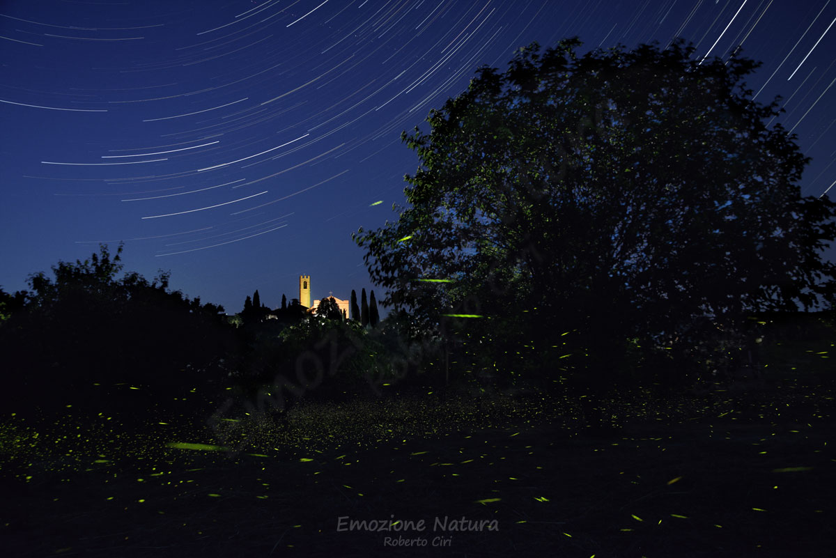 Star Trails ST-lucciolePai