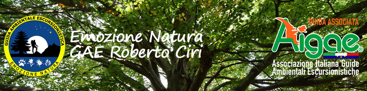 Emozione Natura