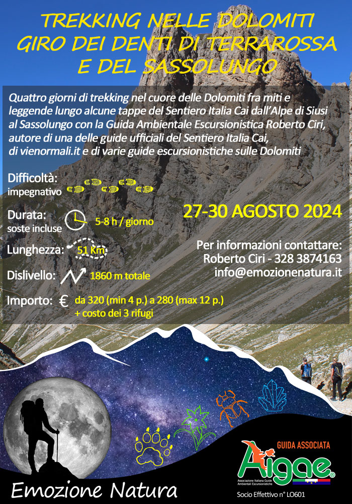 Trekking Sassolungo