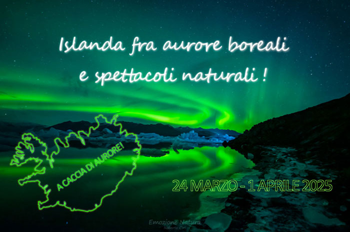 Islanda aurora boreale