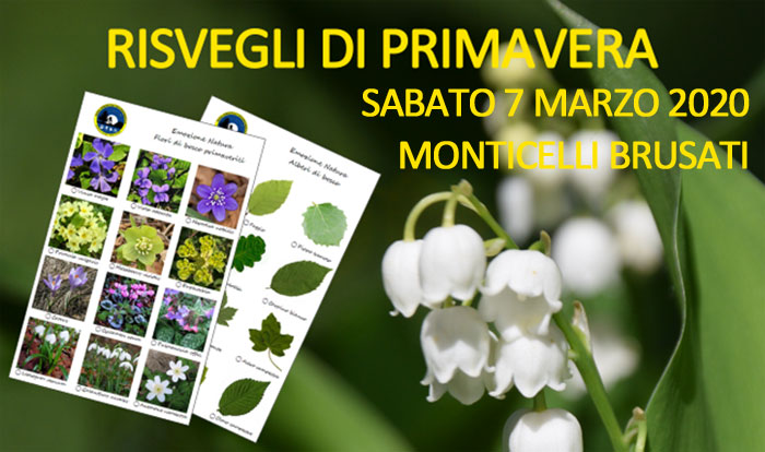 Risvegli di primavera