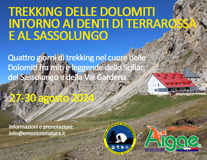 Trekking Sassolungo