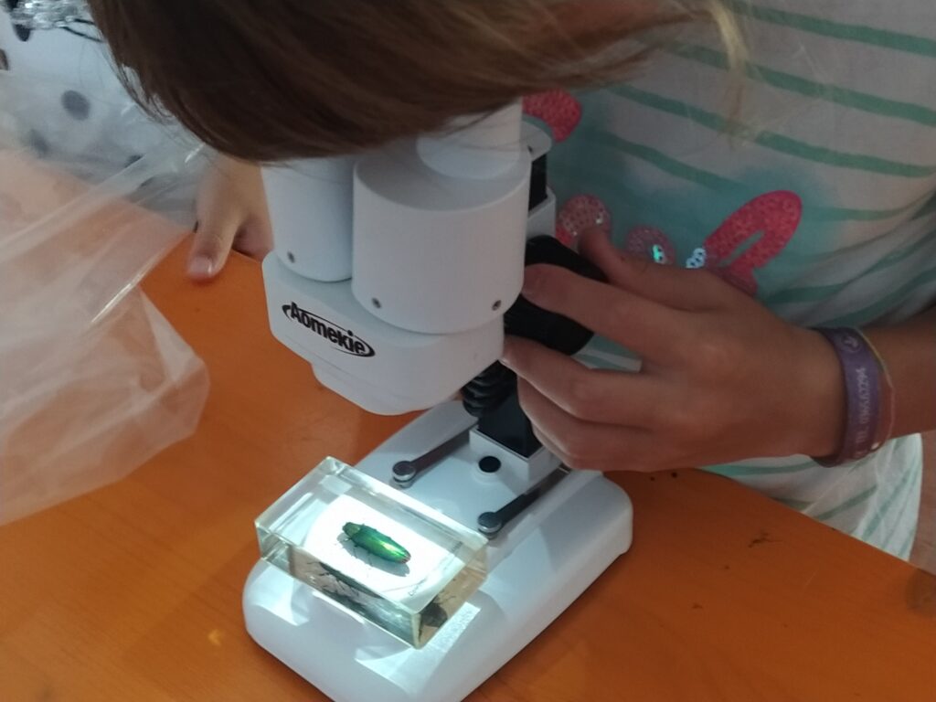 Laboratorio Entomologia